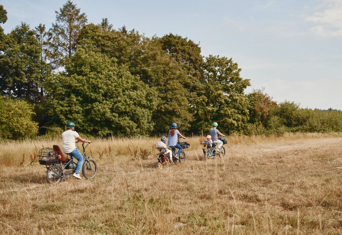 bike 43 long tail bikes