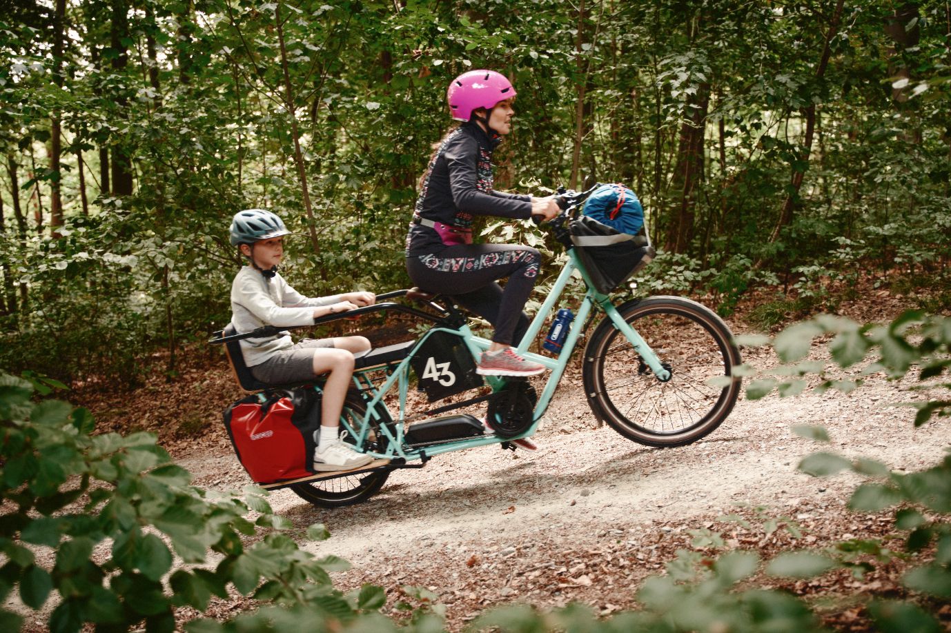 bike 43 long tail expedition