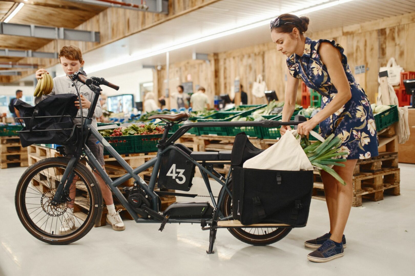 bike 43 long tail groceries
